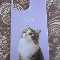 Customer personalized phone case